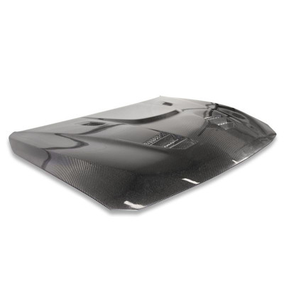 Capo Carbono Bmw Serie 3 F30 F31 tipo M3 GTR