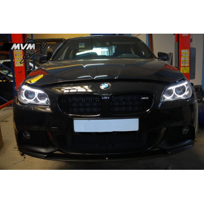 Faros delanteros Bi Xenon BMW Serie 5 F10