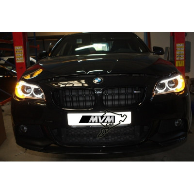 Faros delanteros Bi Xenon BMW Serie 5 F10