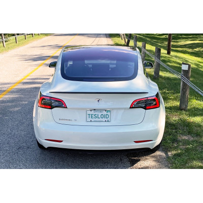 Aleron Tesla Model 3 Negro Brillo