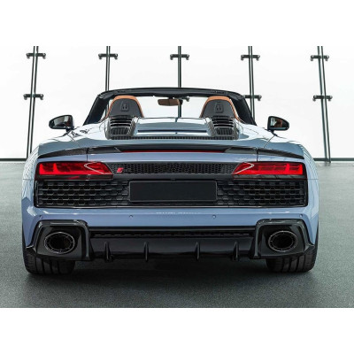 Aleron trasero Carbono Audi R8 Spyder