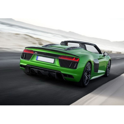 Aleron trasero Carbono Audi R8 Spyder