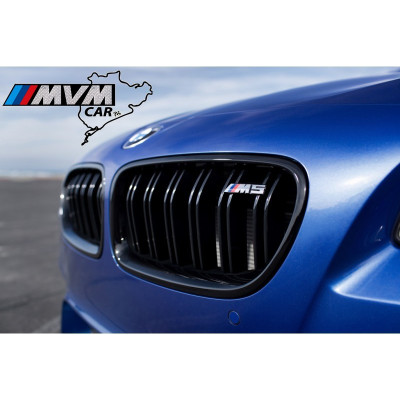 Rejilla parrilla frontal BMW Serie 5 F10 F11 M5 Performance