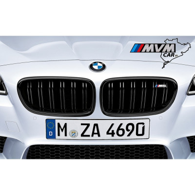 Rejilla parrilla frontal BMW Serie 5 F10 F11 M5 Performance
