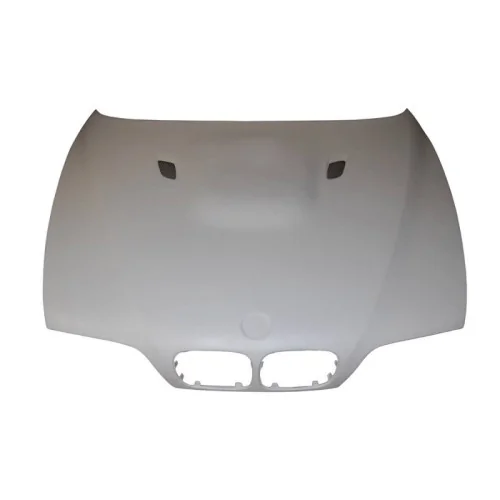 Capó Fibra BMW Serie 5 E39 con toma Look M