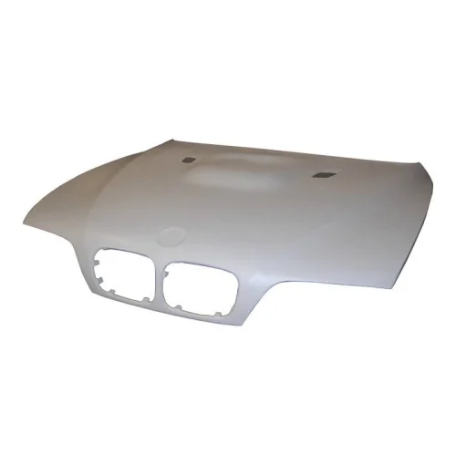 Capó Fibra BMW Serie 5 E39 con toma Look M