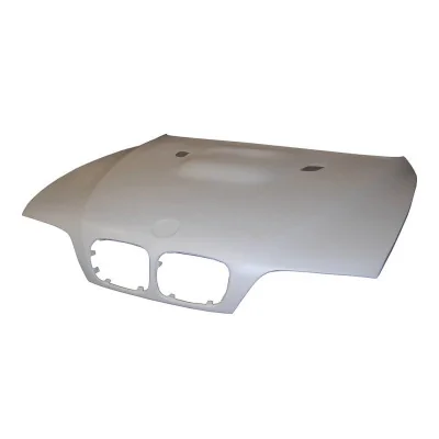 Capó Fibra BMW Serie 5 E39 con toma Look M