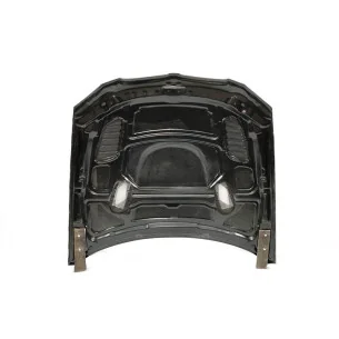 Capo Fibra de Carbono para BMW Serie 3 E92 E93 look M3 GTR
