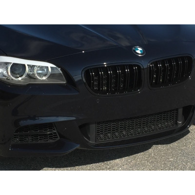 Rejilla parrilla frontal BMW Serie 5 F10 F11 Tipo M Performance