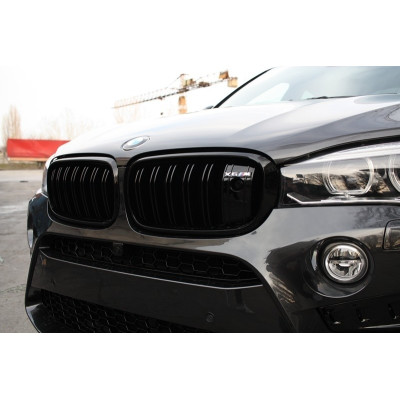 Rejilla parrilla frontal para BMW X6 F16 Performance con cámara